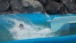 resIMG_20130625_135504_0157.JPG